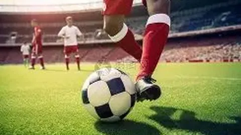 [图]王楚钦荣获乒乓球亚洲杯男子单打冠军