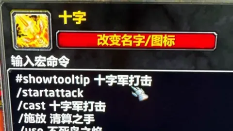 意大利女足2025世界杯概览